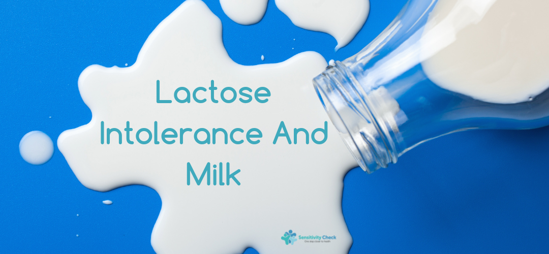 Lactose Intolerance And Milk: Unveiling The Connection